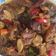 Cooksnap dari ariesta kirei untuk resep Oseng Kikil Cabe Hijau
