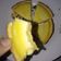 Cooksnap dari Amanda untuk resep Pie Susu Teflon
