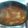 El cooksnap de Nekane Martinez cuando hizo Muslos de pollo con verduras en Cocotte.