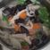 Cooksnap dari Hana Adisti untuk resep Sayur Sop Simple