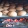 El cooksnap de milo cuando hizo Galletas de Cacao o Milo.