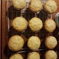 GigglesAV's cooksnap of when they made Banana Nut Muffins.