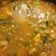 El cooksnap de Agata cuando hizo Estofado de sepia con guisantes, alcachofas y patatas de mi amiga Roser.