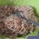 Cooksnap dari selly adhim untuk resep Bihun goreng enak
