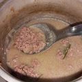Cooksnap dari Alya Imran untuk resep Daging Sapi Cincang bumbu Opor