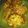 Cooksnap dari Rini untuk resep Bakwan Jagung