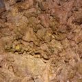Cooksnap dari Dwi Fitri S untuk resep Daging Sapi Bumbu Lapis