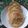 Cooksnap dari Bando Bandana untuk resep Kue cucur gula merah bersarang anti gagal