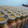Cooksnap dari erliena okta untuk resep Rainbow Puding Cup
