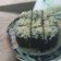 Cooksnap dari Fatya untuk resep Brownies kukus mini
