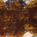 Cooksnap dari Novianti Anggraeni untuk resep Pisang Gepeng Tabur Keju