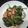tboz 的 九層塔香炒花枝{10分鐘料理} cooksnap