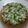 Bhumi Parikh's cooksnap of when they made ભાખરી પિઝા.