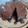 Cooksnap dari Susi Herawati untuk resep Super Moist Steamed Chocolate Cake Juara NO mixer NO oven