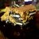 El cooksnap de Romi cuando hizo Chocotorta de oreo.