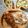 Cooksnap của Mẹ Heo Mọi khi họ làm theo món Gà Rô Ti 😍👩🏻‍🍳