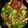 Lindsey Mathieu's cooksnap of when they made Chicken Stir-fry.