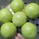 Cooksnap dari Rizna Renwarin untuk resep Pao Pandan Lembut