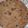 Wajeeha Shakir's cooksnap of when they made Daal paratha.
