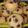 El cooksnap de Gisela Kettler cuando hizo Muffins de vainilla.
