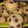 El cooksnap de Gisela Kettler cuando hizo Muffins de vainilla.