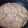El cooksnap de Nuria Rsr cuando hizo Solomillo de pavo, con nata y champiñones.