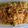 Cooksnap dari Ellys R untuk resep Kwetiaw Goreng