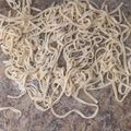 El cooksnap de Pablo Eduardo Torres cuando hizo Tallarines caseros.