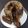 El cooksnap de Silvina Rubia cuando hizo Budín de manteca en olla ESSEN: nuez y chip de chocolate.