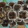 Cooksnap dari Mama_Inspiratif untuk resep Brownies Cup