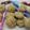 Cooksnap από Ζου Ειρηνη στη συνταγή Τέλεια cookies βρώμης νηστίσιμα