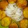 Cooksnap dari Aulia Nugraha untuk resep Pempek Nasi