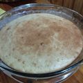 El cooksnap de alicandroflor@gmail.com cuando hizo Lemonies súper rápidos.