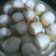 El cooksnap de Flori cuando hizo Pan de leche masa económica y rendidora.