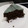 El cooksnap de Pau cuando hizo Pastel de Chocolate muy esponjoso.