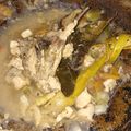 Cooksnap dari Ummu Farieqlith untuk resep Garang Asam Ayam Kampung menu Diet No Oil, No gula, No santan