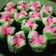 Cooksnap dari Desi untuk resep Bolu kukus semangka