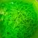 Cooksnap dari Suci Utami untuk resep Cendol tepung beras homemade