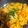 El cooksnap de Coonsu Torres cuando hizo Arroz amarillo con pollo.