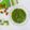 il Chemamma quando ha preparato Pesto di rucola