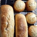 El cooksnap de Titan Lauty Clari cuando hizo Pan casero dulce reducido en gluten, con sabor a cítrico.