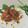Cooksnap dari Triawan van Gitoz untuk resep Ayam Saus Rica2
