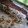 Cooksnap από Saucypan στη συνταγή Tiramisu χωρίς αυγά