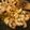 nelchonik's cooksnap of when they made Sunshine's shrimp in lemon butter.