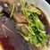 Cooksnap dari Yuli Ng untuk resep Ikan tim hongkong
