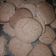 El cooksnap de GiselaMiño cuando hizo Galletitas de Nesquik ricas y rápidas.