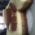 Cooksnap dari riia kartika untuk resep Bolu tiramisu kukus