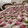 Aunty Eiko's international cuisine experience 's cooksnap of when they made Japanese Salted Cherry Blossom 🌸.