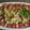 alveera.matloub's cooksnap of when they made Tasty BBQ salad 🍀.