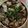 騎著白鶴的小白龍 的 炒蛤蜊 cooksnap